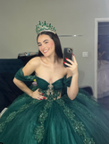 Green Tulle Applique Off the Shoulder Long Prom Dress Quinceanera Dress Ball Gown HZ1023