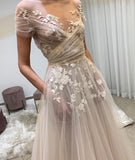 Light champagne tulle lace long prom dress, lace evening dress HZ1023