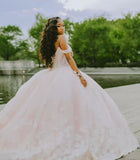 Princess Pink Ball Gown Off the Shoulder Appliques Tulle 16th Birthday Dress Prom Dress HZ1023