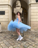 Baby Blue A Line Strapless Tulle Prom Dress Wedding Guest Dress Birthday Dress HZ1023