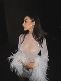 Sexy Sheath Long Sleeve Feather Sequin Short Party Dress Homecoming Dress HZ1023