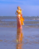 Dreamy A Line Straps Beaded Orange Tulle Prom Dress Graduation Prom Dress HZ1023