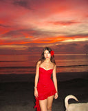 Red A Line Spaghetti Strap Sequin Tulle Short Homecoming Dress Vacation Dress HZ1023