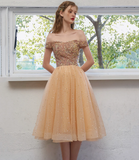Sweet Off-the-shoulder Tulle Homecoming Prom Dress HZ1023