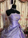 Vintage Ball Gown Strapless Embroidered Purple Organza Satin Long Prom Dress Formal Dress HZ1023
