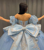 Romantic Poofy Baby Blue Floral Puff Sequin Tulle Ball Gown Quinceanera Dress HZ1023