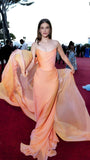 Orange Sheath Strapless Chiffon Long Party Dress Prom Dress HZ1023