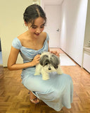 Gentle Sheath Straps Blue Satin Long Evening Dress Party Dresses HZ1023