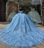 Blue Tulle Appliques Beaded Ball Gown Sweet 16 Dress Quinceanera Dress HZ1023