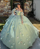 Green Ball Gown Quinceanera Dresses Off the Shoulder Floral Tulle Sweet 16 Dress Party Gowns HZ1023