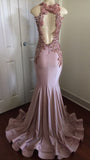 MODERN LACE APPLIQUES SLEEVELESS PARTY GOWNS PROM DRESS HZ1023