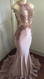 MODERN LACE APPLIQUES SLEEVELESS PARTY GOWNS PROM DRESS HZ1023