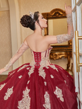 Gorgeous Red A Line Sweetheart Neck Appliques Beaded Tulle Quinceanera Dresses Ball Gown HZ1023
