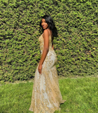 Charming V Neck Lace Mermaid Prom Dress Long Evening Dress HZ1023