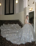 Stunning A Line Strapless Silver Sequin Long Prom Dress Graduation Prom Dress HZ1023
