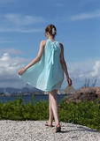 Blue A Line Halter Pleated Chiffon Short Homecoming Dress Vacation Dress Outfits HZ1023