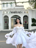 Princess White A Line Long Sleeve Chiffon Satin Long Sweep Party Dress Evening Dress HZ1023