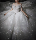 Stunning Ball Gown Strapless Beaded Sequin Prom Dress Wedding Dress with Butterfly HZ1023