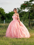 Pink Sweetheart Neck Corset 3D Flower Tulle Ball Gown Sweet 16 Dress Quinceanera Dress HZ1023