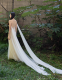 Flowy Simple Ivory A Line Pleated Tulle Long Evening Dress Party Dress HZ1023