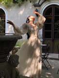 Elegant A Line Long Sleeve White Chiffon Long Prom Dress Party Dress HZ1023
