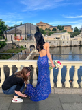 Shiny Royal Blue Sequins Mermaid Evening Dress Long Prom Dress HZ1023