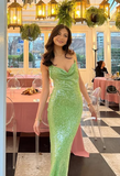 Green Sheath Spaghetti Straps Sequin Open Back Long Prom Dress Evening Dress HZ1023