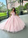 Pink Tulle Applique Long Prom Dress Quinceanera Dress Ball Gown HZ1023