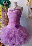 Vintage A Line Sweetheart Rhinestone Tulle Short Homecoming Dress Birthday Dress HZ1023
