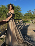 Off The Shoulder Tulle Applique Long Prom Dress HZ1023