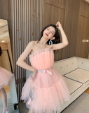 Pink A Line Strapless Tulle Short Outfit Party Dress Homecoming Dress Birthday Dress HZ1023