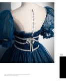 Princess Tulle Blue Short Sleeves Long Prom Dresses HZ1023