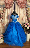 Royal Blue Ball Gown Off the Shoulder Floral Layered Organza Long Prom Dress Evening Dress HZ1023