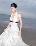 Retro A Line Halter Polka Dot Satin Open Back Prom Dress Evening Dress HZ1023