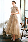 Light champagne lace satin prom dress champagne evening dress HZ1023