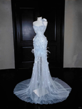 Baby Blue Mermaid Sweetheart Neck Beaded Feathder Tulle Prom Dress Evening Dress HZ1023