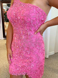 Short Pink Lace Homecoming Dresses HZ1023