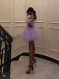 Short Purple Graduation Homecoming Dresses HZ1023
