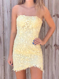 Short Lace Graduation Dress Tight Homecoming Dresses HZ1023