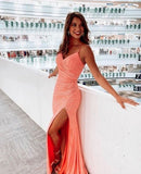 Elegant Mermaid Sequin Long Prom Dress HZ1023