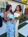 Pretty Light Blue Applique Formal Prom Dresses HZ1023