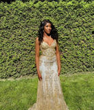 Charming V Neck Lace Mermaid Prom Dress Long Evening Dress HZ1023