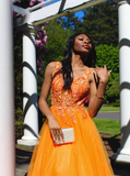 Charming A Line V Neck Appliques Orange Tulle Prom Dress Evening Dress HZ1023