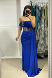 Charming Long Royal Blue Strapless Prom Dress With Beaded HZ1023