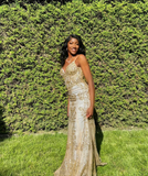 Charming V Neck Lace Mermaid Prom Dress Long Evening Dress HZ1023