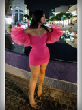 Hot Pink Satin Tulle Short Prom Dress Homecoming Dress HZ1023