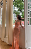 Elegant Mermaid Spaghetti Strap Orange Lace Long Prom Dress HZ1023