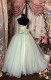 Vintage Light Green Ball Gown One Shoulder Flower Organza Long Prom Dress Evening Dress HZ1023