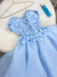 Baby Blue A Line Sweetheart Neck 3D Flower Tulle Prom Dress Evening Dress HZ1023