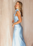 Elegant Sheath Spaghetti Strap Baby Blue Satin Long Prom Dress Evening Dress HZ1023